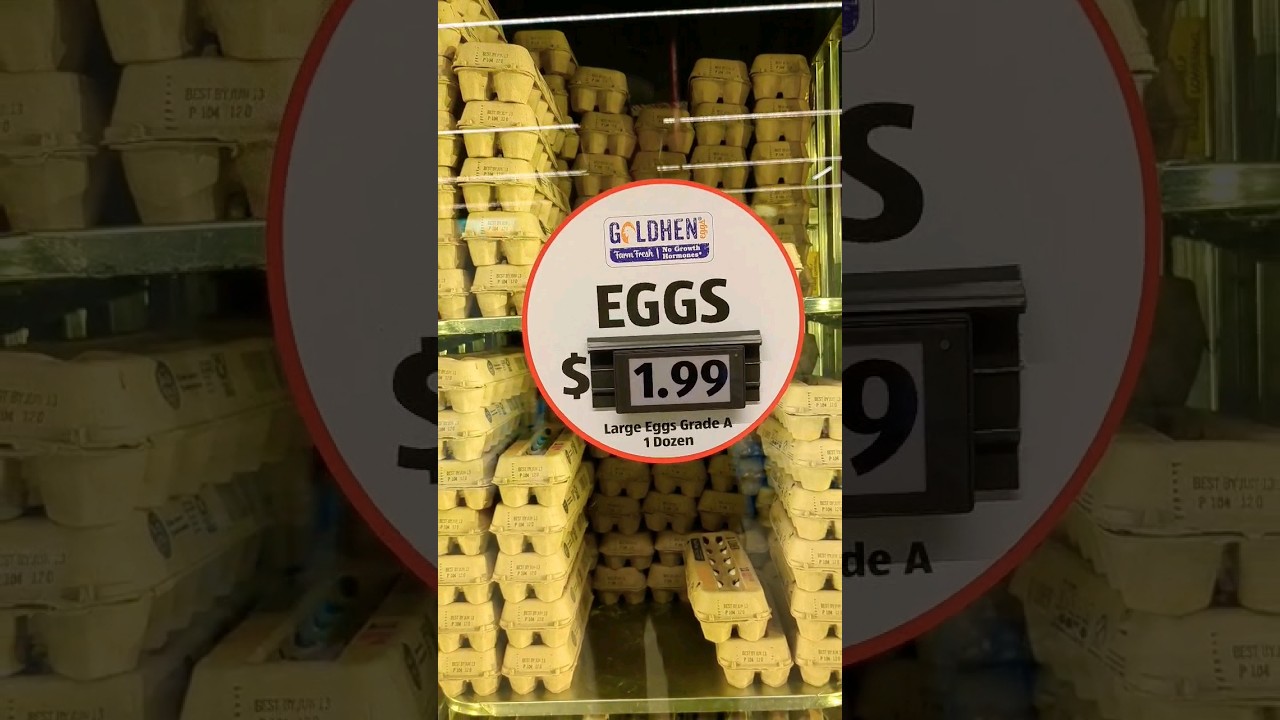 BREAKING NEWS 🚨 I've Cracked the case 🕵️‍♂️ EGGcellent 🥚