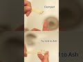 🔥 Burn Test: Human Hair vs Synthetic Hair