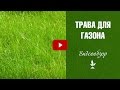 Трава для газона 🌱 Как выбрать газон? Полевица 🌟 Овсяница 🌟 Мятлик