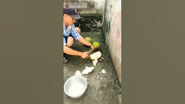 anh chàng có kỹ năng chặt dừa xiêm vô cùng điêu luyện #shorts #garden