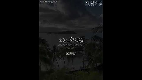 سورة الأنعام 🍃🍃//القارئ: راشد الحليبة🍃#اسلام_صبحي #راحة_نفسية