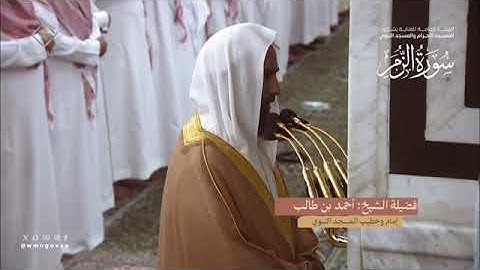 سورة الزمر بصوت الشيخان أحمد طالب حميد ، صلاح البدير تراويح المسجد النبوي 1445