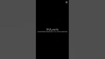 الشيخ ياسر الدوسري - سورة لقمان
