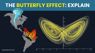 The Butterfly Effect: How Small Changes Can Have HUGE Impacts