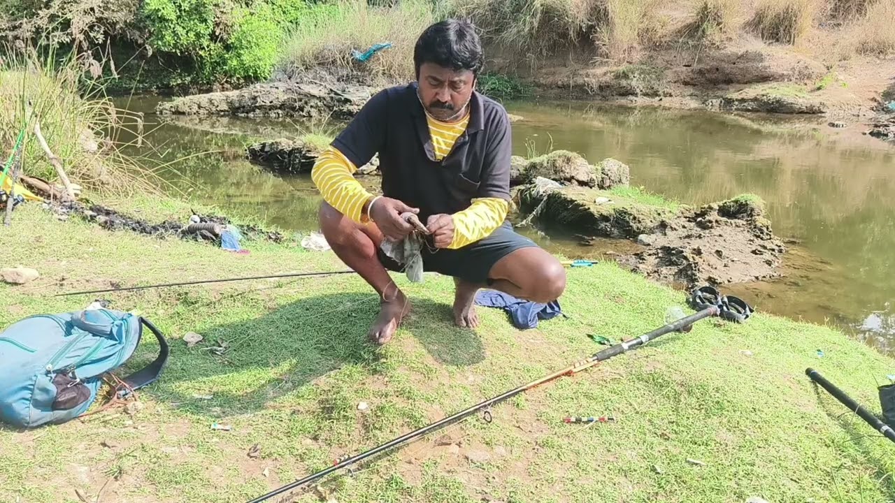 BOM FISH షికార్ కి పోయినాం ఇక్కడ తెల్ల చేపలు ఫుల్లుగా ఉన్నాయి 