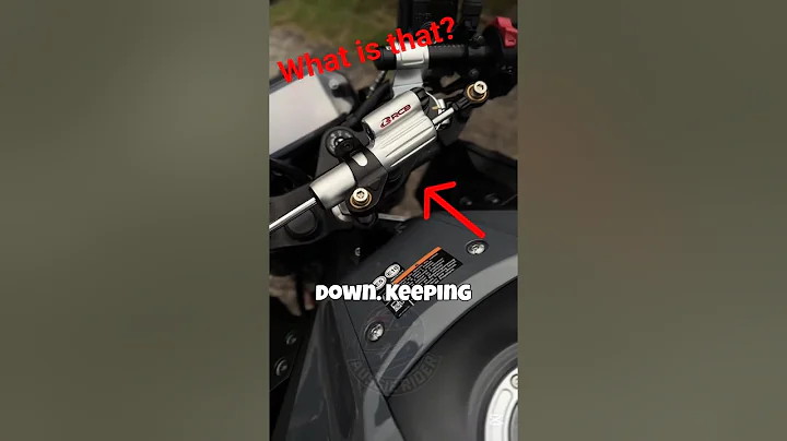 Why Do Motorcycles Have Steering Dampers? | Explained Simply #aussierider