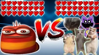 Oi Oi Oi vs All Cats! Meme Battle