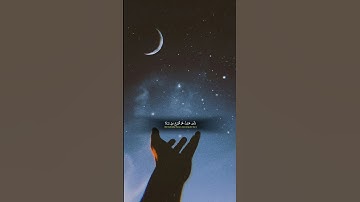 تلاوة هادئة تريح الاعصاب لأيات من سورة القصص للقارئ ياسر الدوسري 🎧❤️🎧