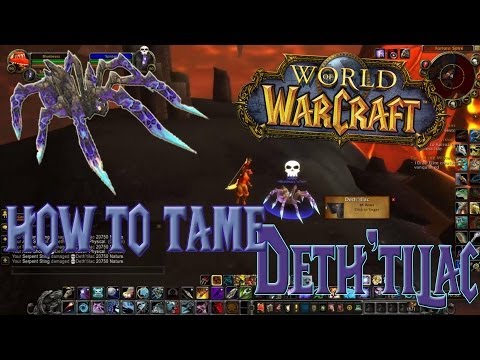 Wow - How to tame Deth'tilac - Solo Hunter Guide!