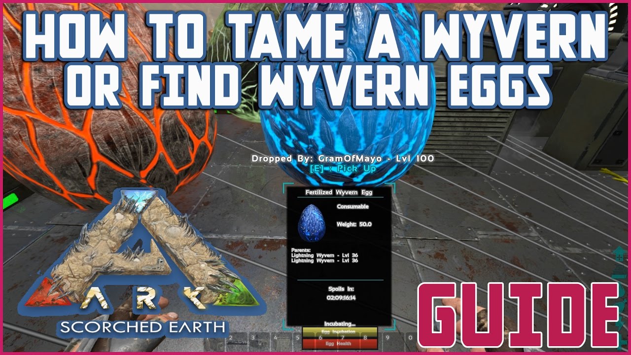 How To Tame Find Wyvern Eggs Guide Ark Scorched Earth Youtube How To Tame Find Wyvern Eggs Guide Ark Scorched Earth Youtube