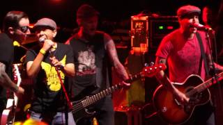 Mike Herrera (MxPx) - Olympia, Wa (Rancid Cover) - The Observatory - Santa Ana, CA