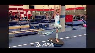 Releve upside down bosu ball