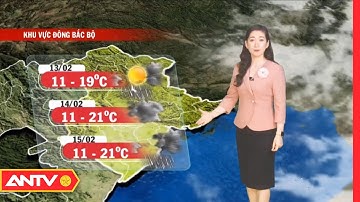 Dự Báo Thời Tiết Tối Ngày 12/2: Miền Bắc Tiếp Tục Mưa Dầm Gió Rét | ANTV
