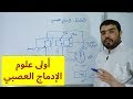 الادماج العصبي [النشاط 47]