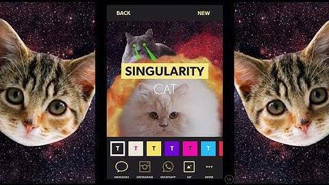 Advanced CatPainting, Part 1: Add text animations with iOS app Legend