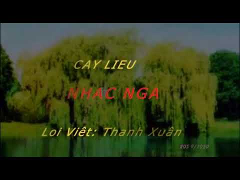 Video: Tôi đề Nghị, Cây Liễu Nga