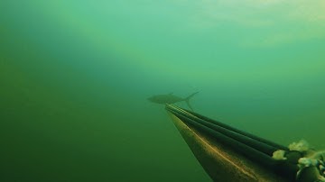 Testing Ermes Revolution camera mount with GoPro