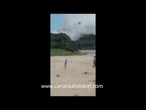 GELİBOLU YARIMADASI'NDA ORMAN