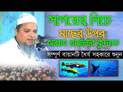 আল্লামা খালেদ সাইফুল্লাহ আইয়ুবী,সাগরের নিচে মাছের উপর আল্লাহ তায়ালার কুদরত। নতুন ওয়াজ ২০২৩