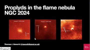 Proplyds in NGC 2024 (5 years after HL Tau)
