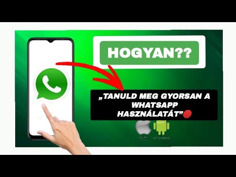 Hogyan Lépj Kapcsolatba a Lemoncasino23 WhatsApp Supporttal