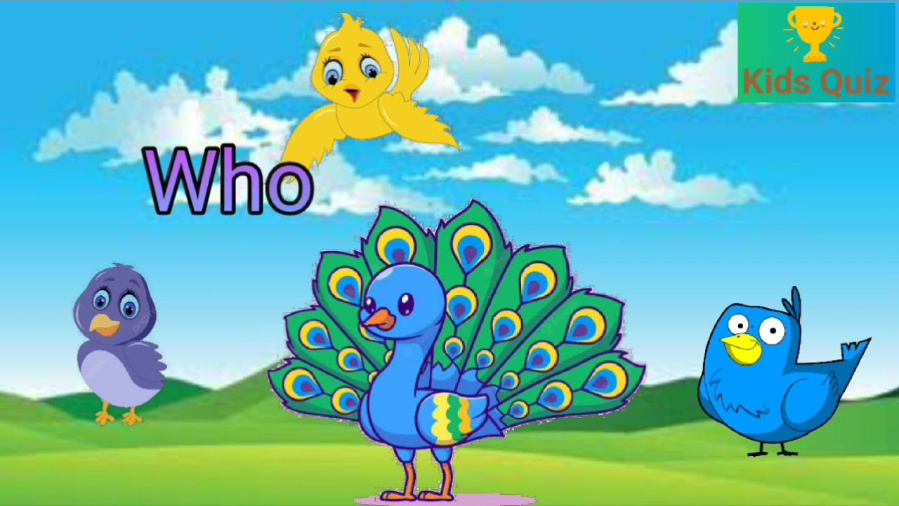 Find the Birds //learn with Birds // kids quiz.