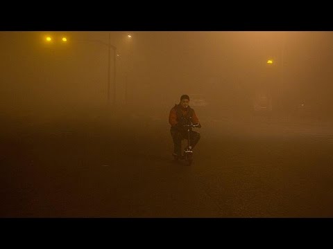Videó: Hogyan Kell Kiképezni Egy Pekingi Embert