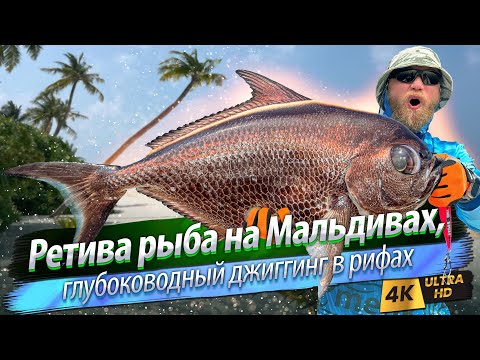🇲🇻 Fishing paradise in the Maldives. I fish everywhere!