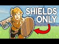 Can You Beat Tears of the Kingdom With ONLY Shields?