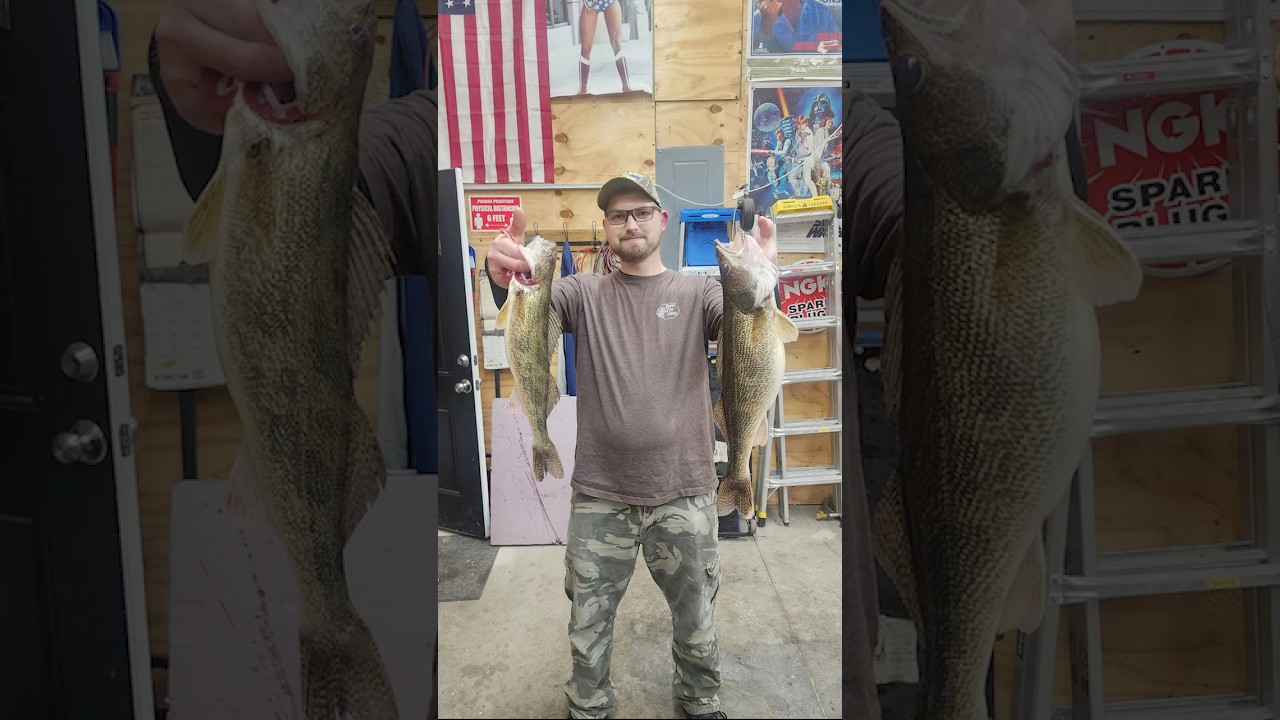 Fish Ohio Saugeye #2 