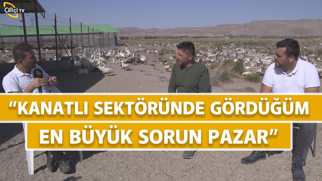 Kanatlı Sektöründe Var Olan Problemleri Konuşuyoruz! - Kanatlı Alemi