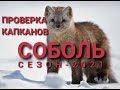 Охота на #СОБОЛЯ проверяем капканы. Сезон 2020-2021гг