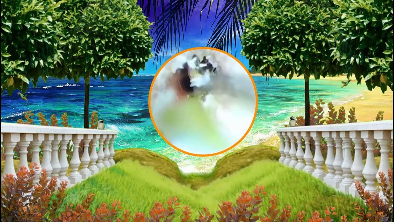 Satisfying Ear Wax Removal With Dr Zhao Video 187 YouTube