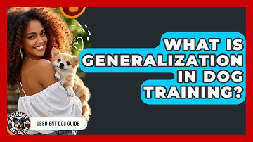 What Is Generalization In Dog Training? - Obedient Dog Guide
