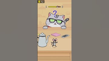 Cat Escape Hide and Seek Level 1