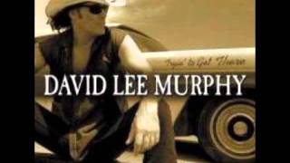 Party Crowed - David Lee Murphy chords