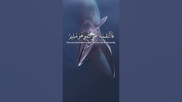 أجمل تلاوة خاشعة|| وإن يونس لمن المرسلين || حالات وتس اب قرآن💙🎧