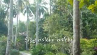 Video thumbnail of "Sing Hallelujah by Chris Christian"