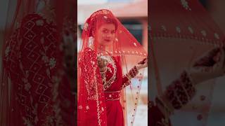 Click Shake It To The Max