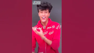 مهرجان فولا فولا قلبي لولا 