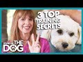 Victoria Stilwell Reveals 3 Secret Dog Training Tips! | It&#39;s Me or The Dog