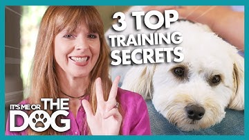 Victoria Stilwell Reveals 3 Secret Dog Training Tips! | It