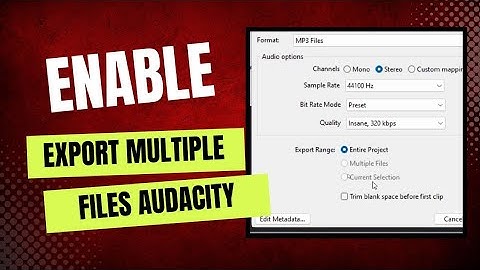 How to Enable Export Multiple Files Option in Audacity