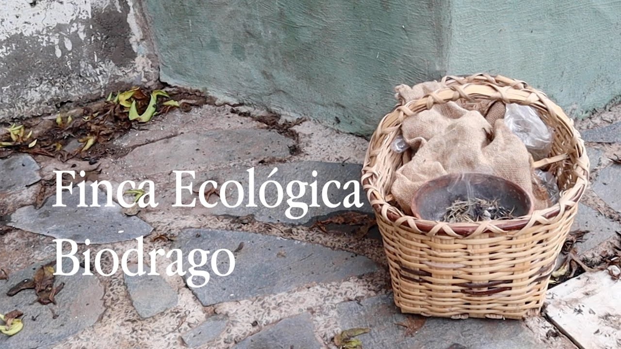 Visita a la Finca y huerto ecológico BIODRAGO. Valle de Agaete