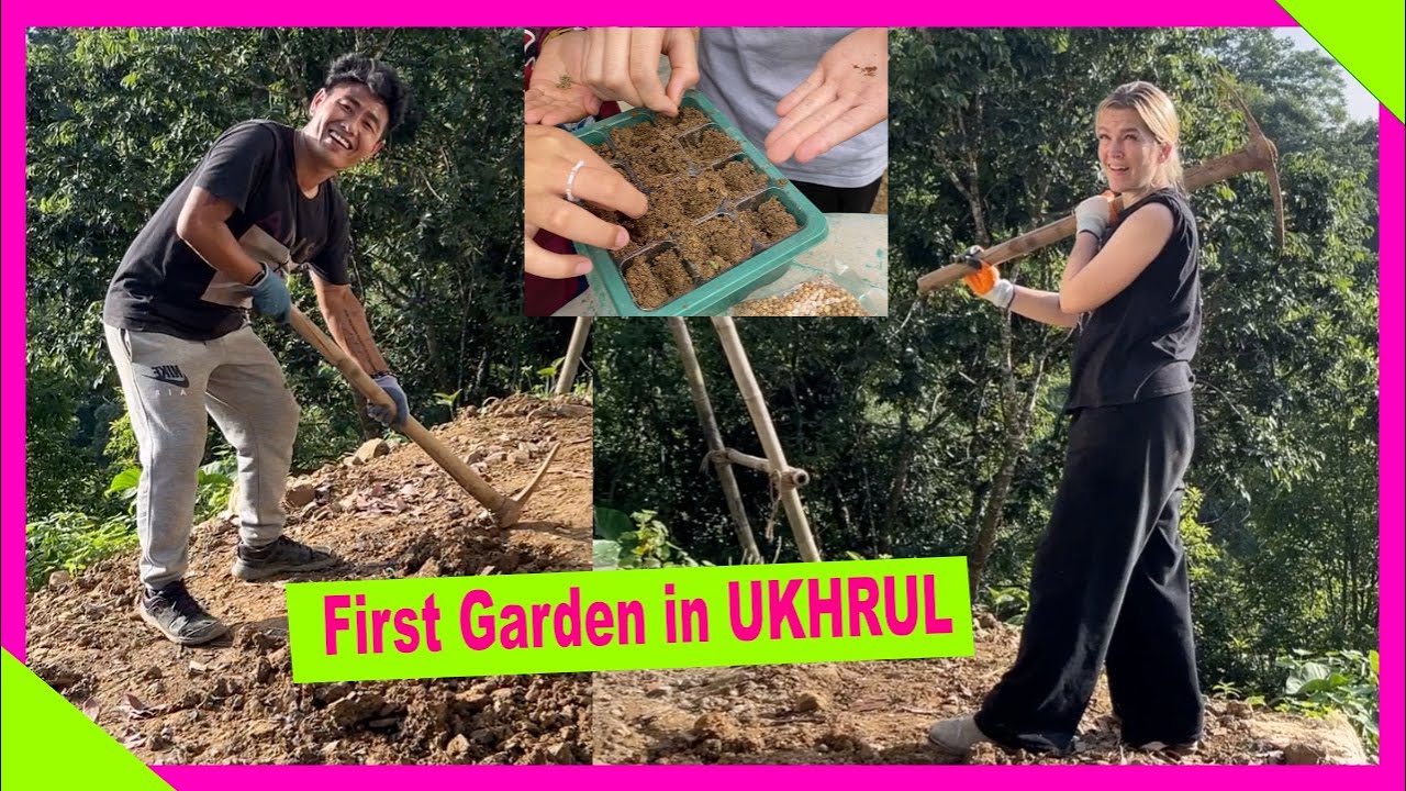 Our first garden in Ukhrul VLOG228 | TheShimrays