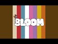 Melody Instrumental Melody Instrumental