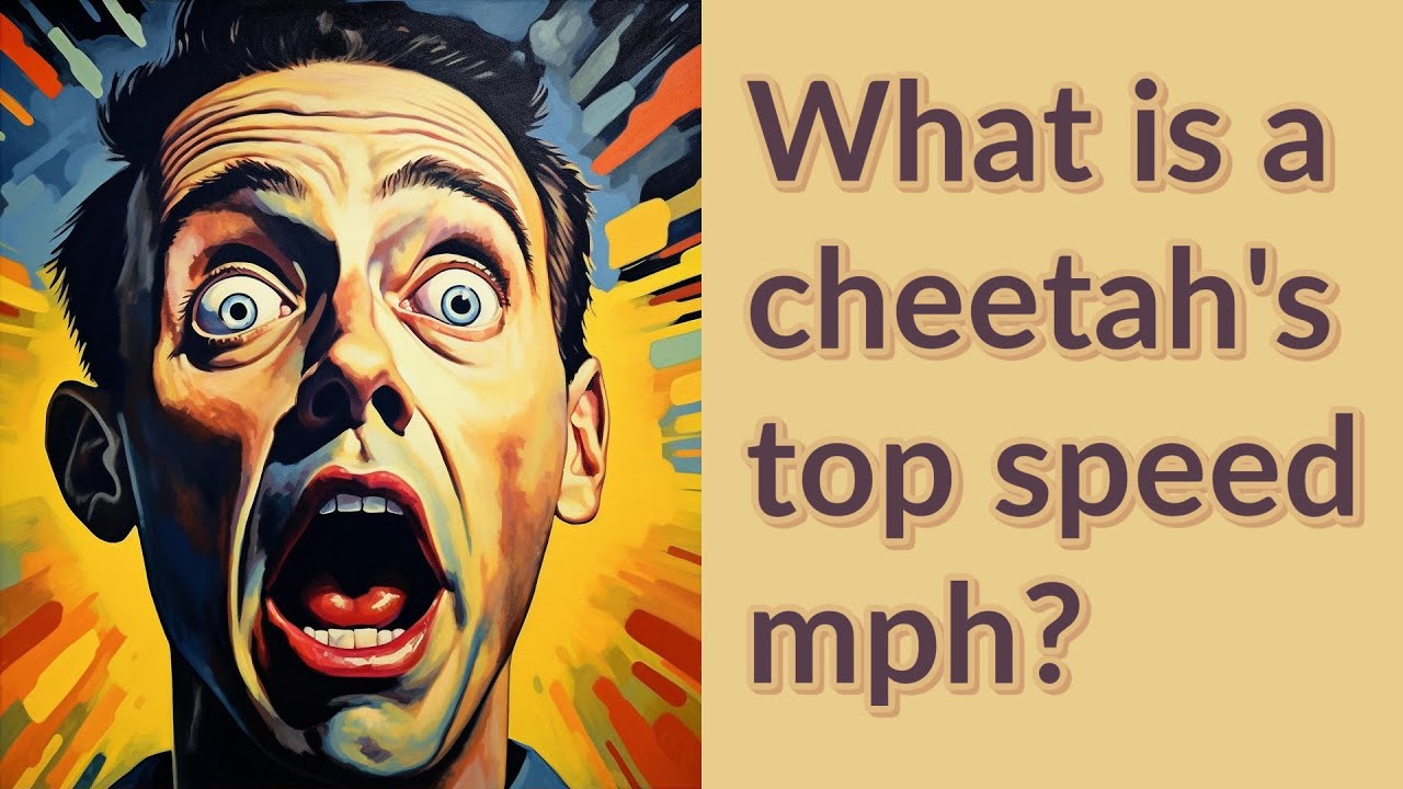 What is a cheetah's top speed mph? - YouTube