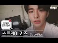 Stray Kids' BTS Dingo Chatroom • ENG SUB • dingo kdrama