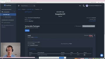 LunaTrace - Do you know your vulnerable transitive dependencies?