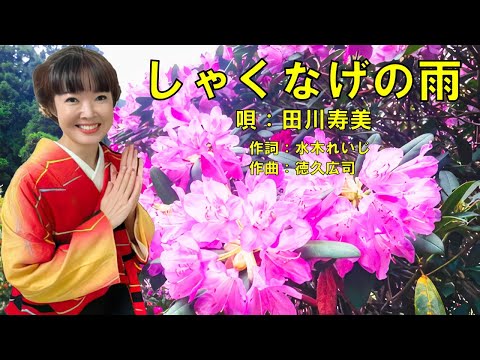 田川寿美 特選集 しゃくなげの雨 CD Amazon.co.jp: しゃくなげの雨/哀愁港 - 田川寿美: ミュージック